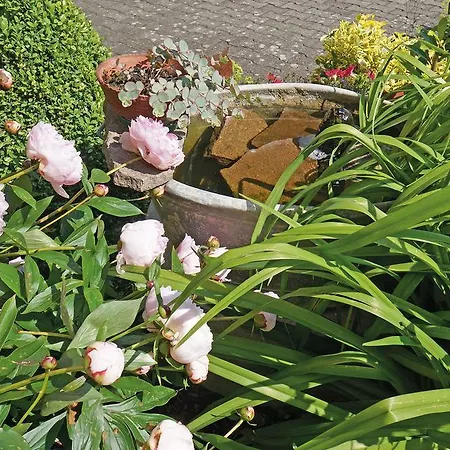 Haus Hilgarth Apartmán *