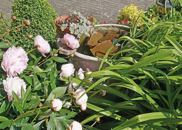 Haus Hilgarth Apartman *